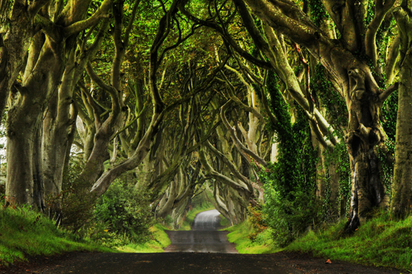 Du lịch Bắc Ireland qua các bối cảnh lung linh của “Game of Thrones”