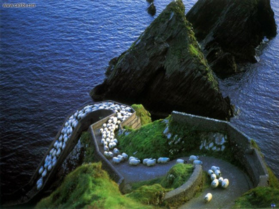 20 lý do khiến Ireland là địa điểm du lịch lý tưởng