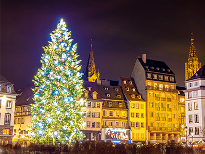 Trải nghiệm tàu lửa ngắm những cây thông Noel đẹp nhất châu Âu