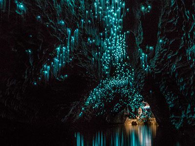 Khám phá hang động đom đóm đẹp lung linh huyền ảo ở New Zealand