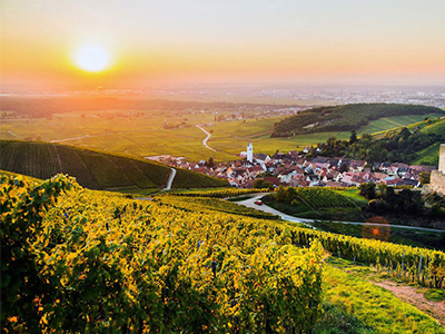 Du ngoạn Alsace – Điểm đến êm đềm giữa hai nước Đức – Pháp