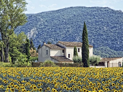 10 điểm đến tuyệt đẹp của mùa xuân nước Pháp